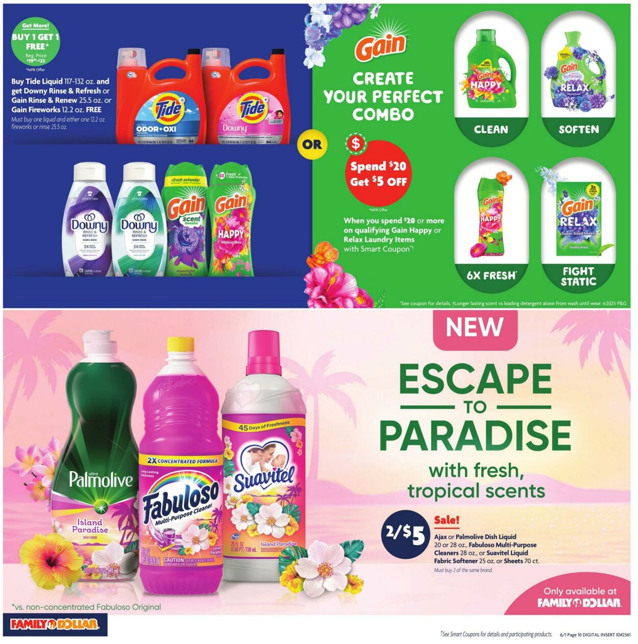 Catalogue Family Dollar from 06/01/2025