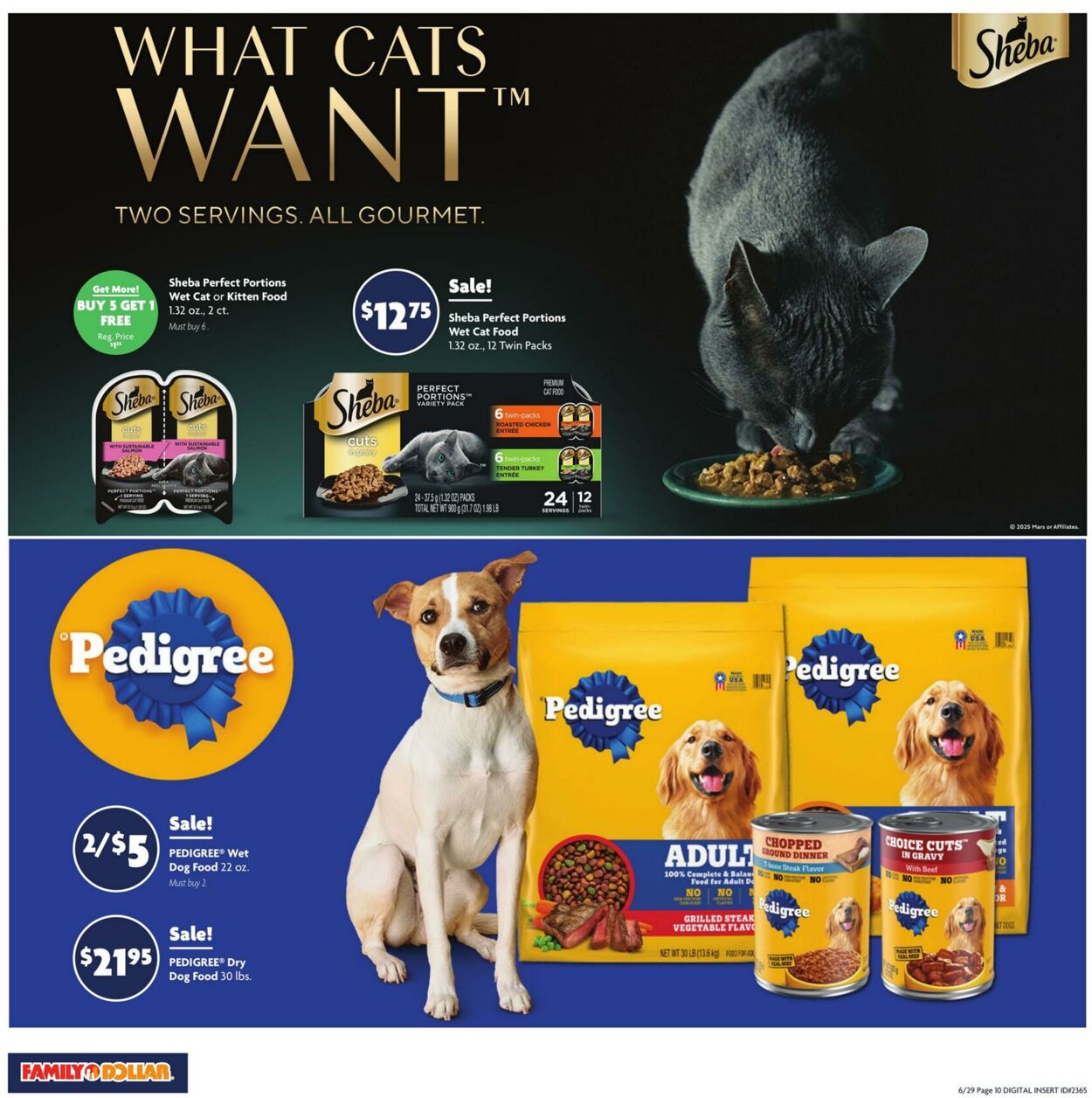 Catalogue Family Dollar from 06/29/2025