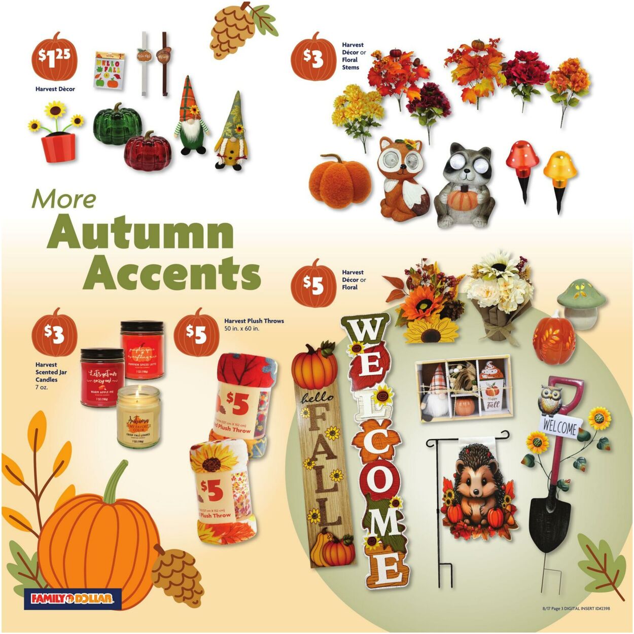 Catalogue Family Dollar from 08/17/2025