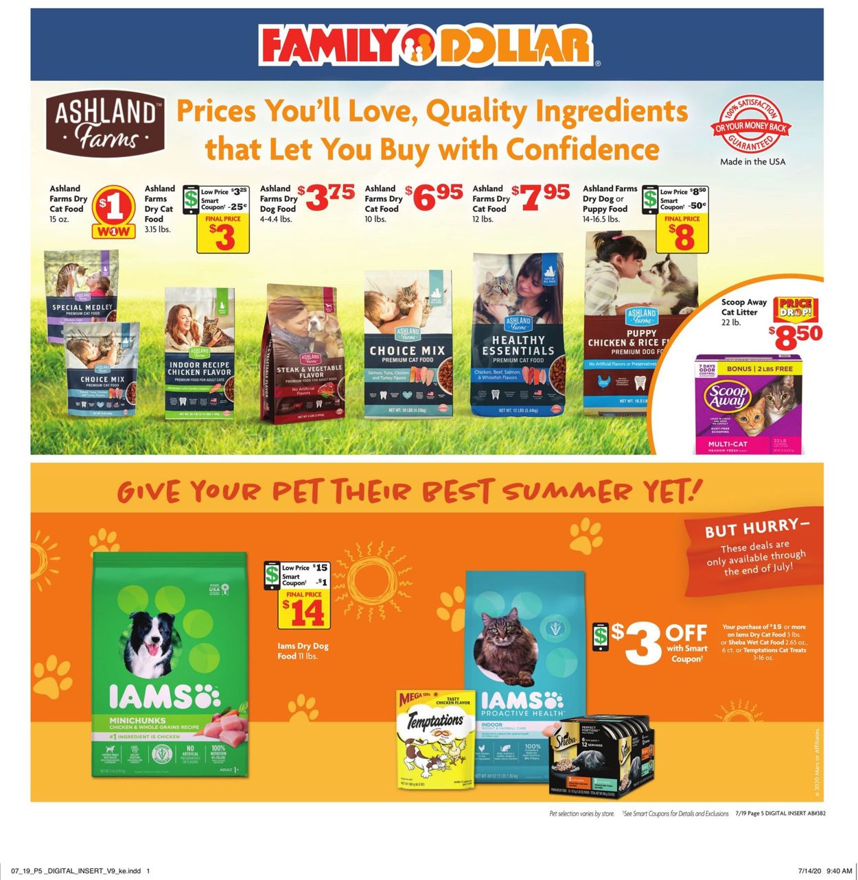 Catalogue Family Dollar from 07/19/2020