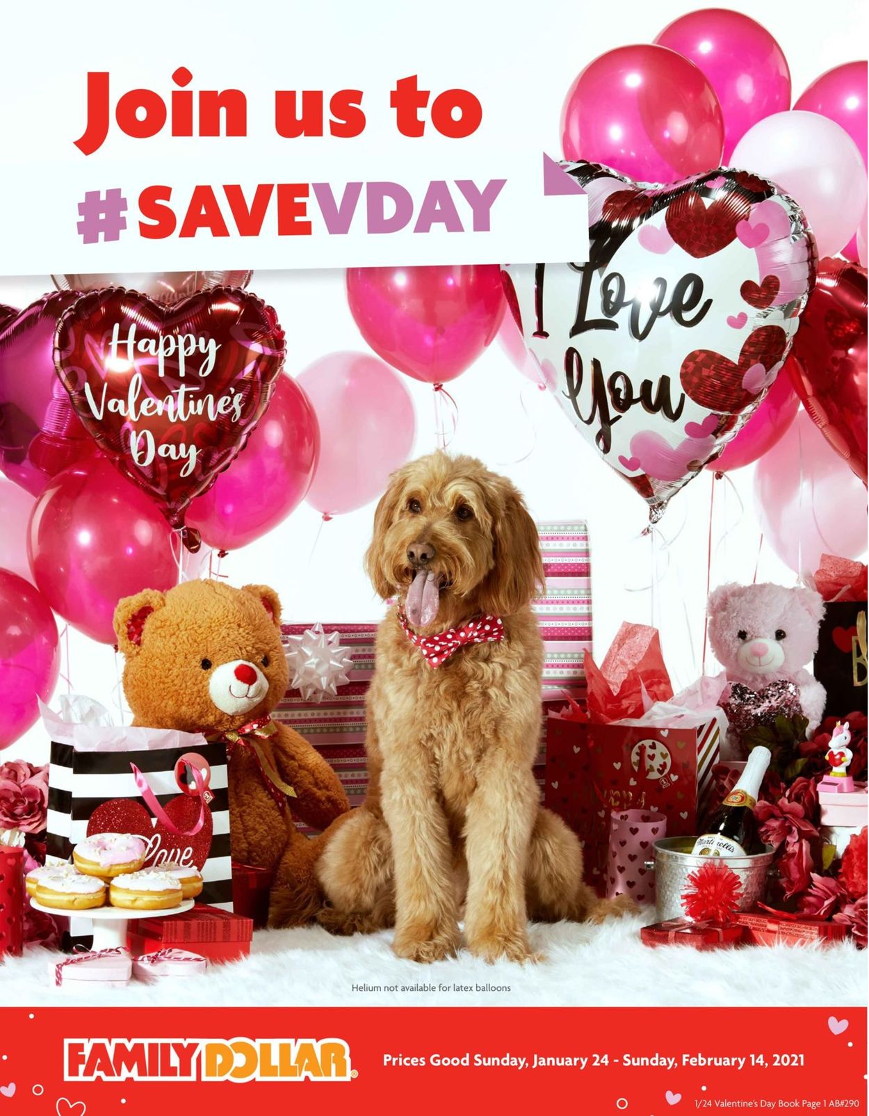 Catalogue Family Dollar Valentine's Day Book 2021 from 01/24/2021