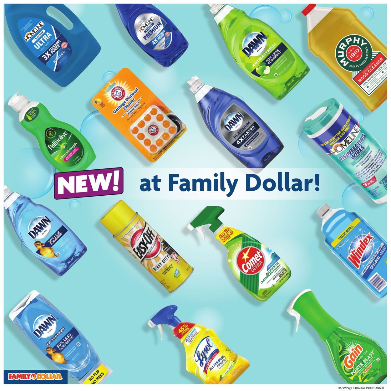 Catalogue Family Dollar from 05/29/2022