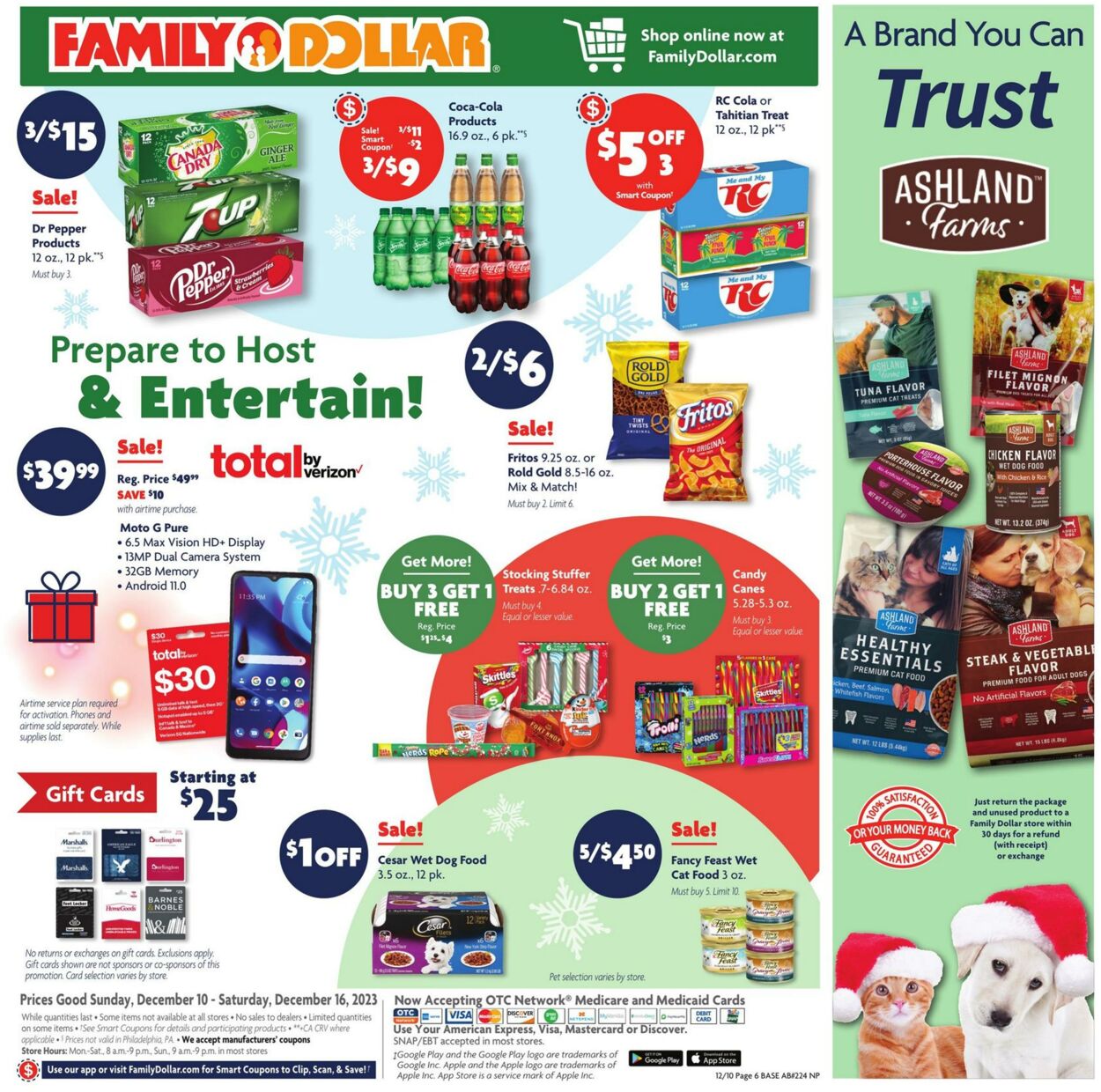 Catalogue Family Dollar from 12/10/2023