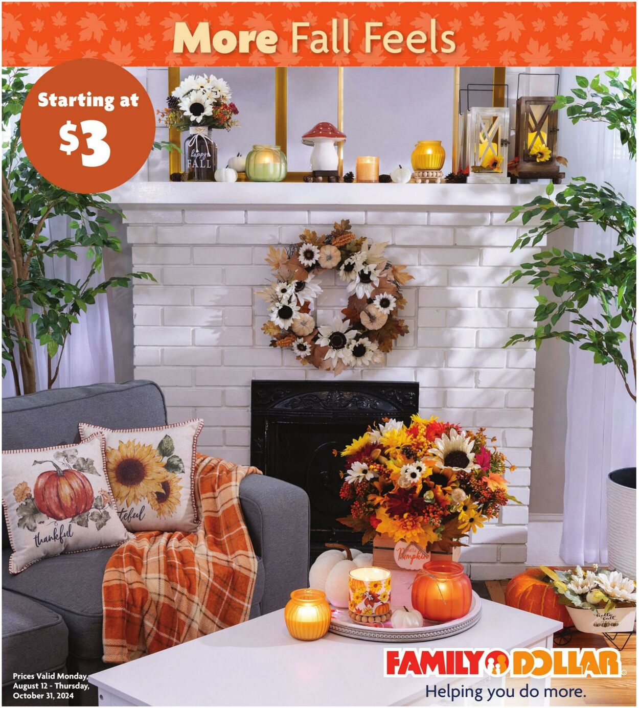 Catalogue Family Dollar from 08/12/2024