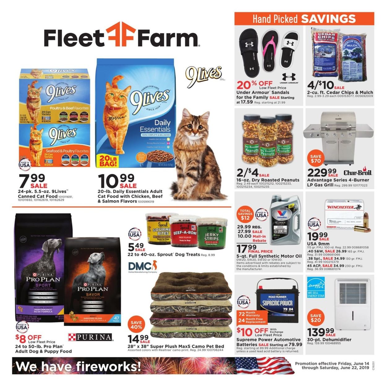 Catalogue Fleet Farm from 06/14/2019