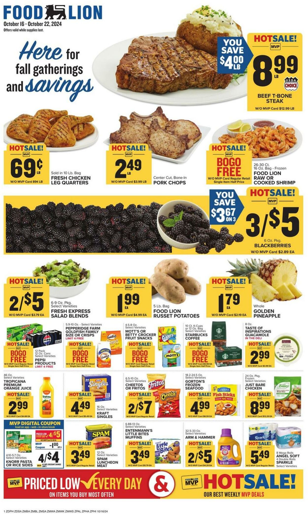 Catalogue Food Lion from 10/16/2024