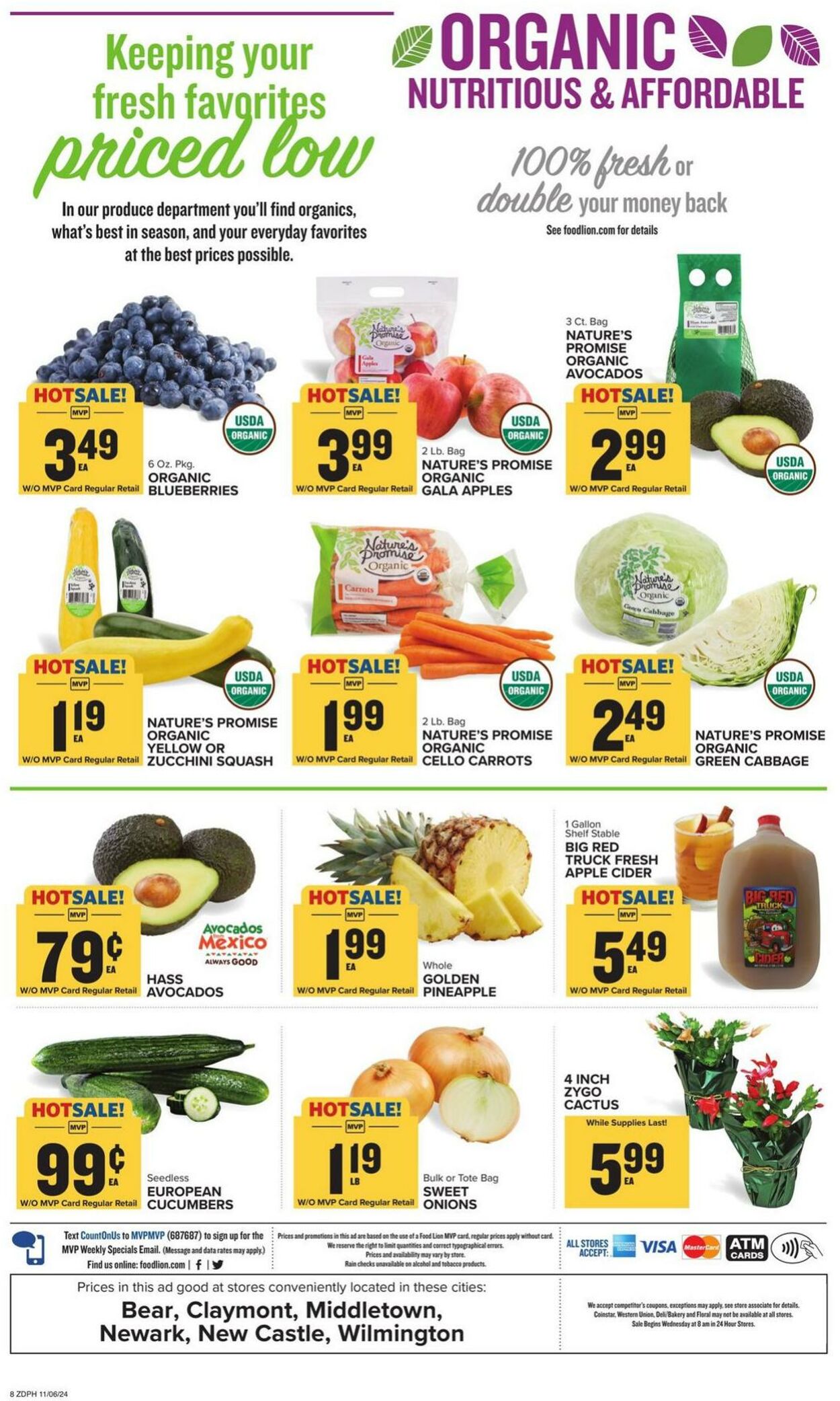 Catalogue Food Lion from 11/06/2024