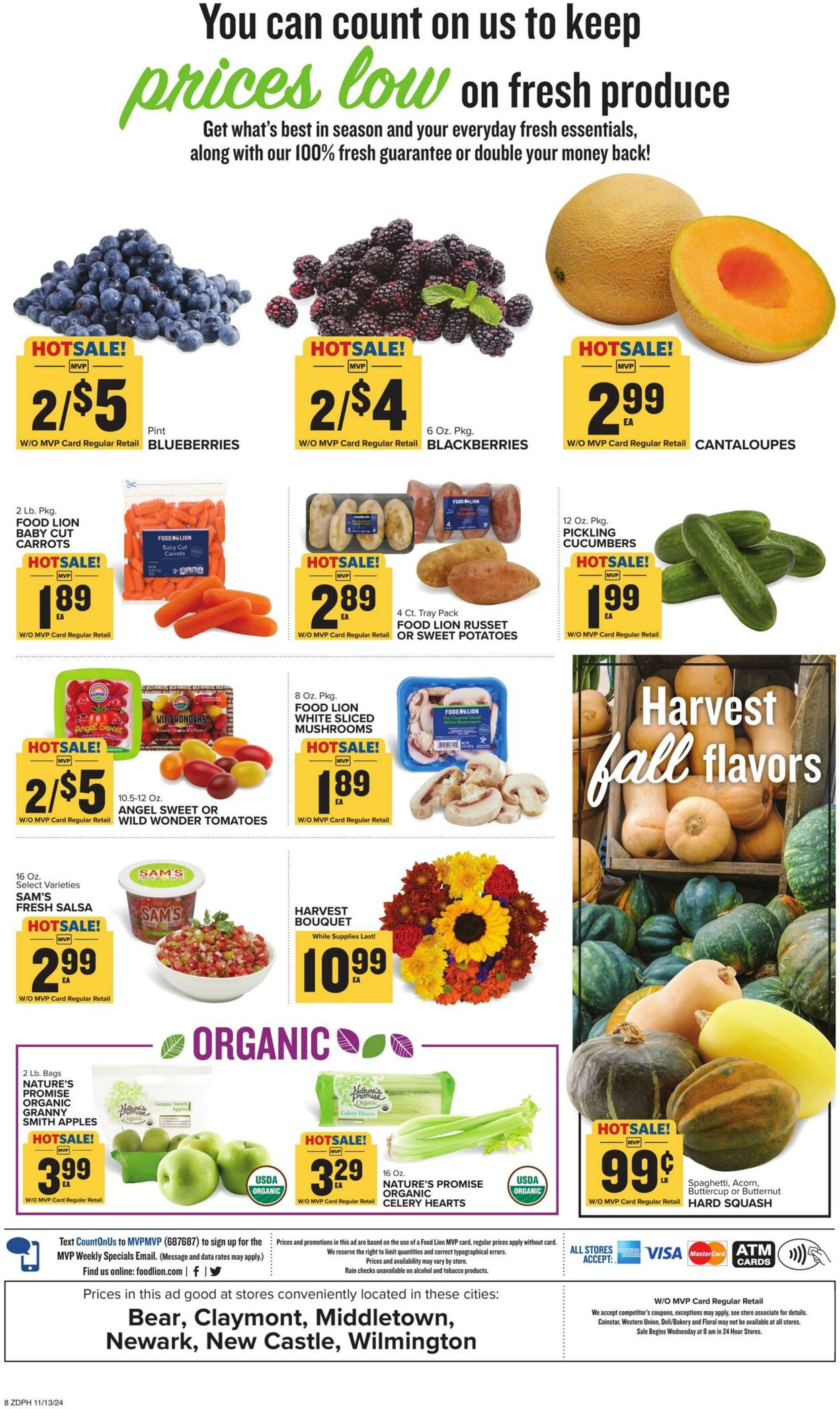 Catalogue Food Lion from 11/13/2024