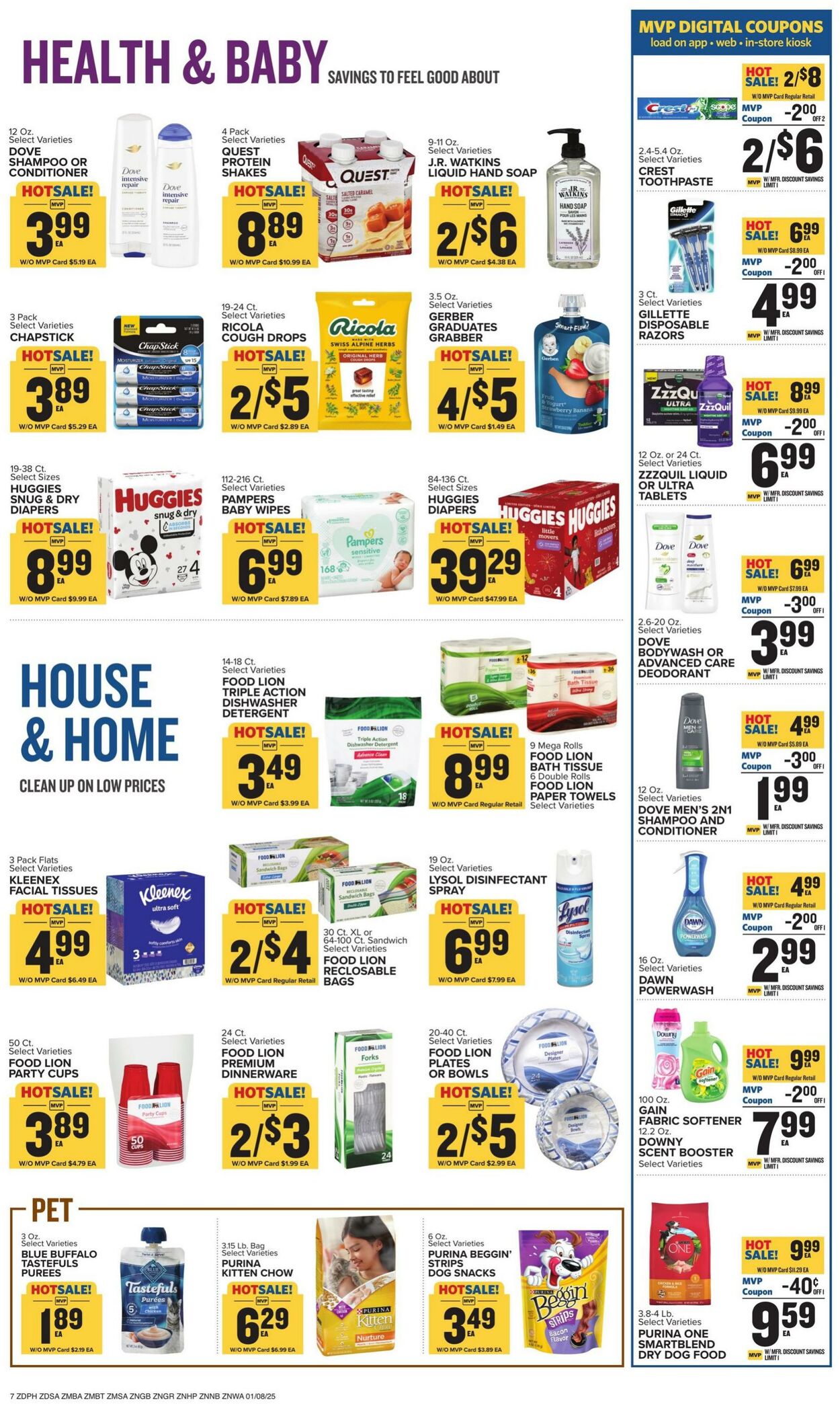 Catalogue Food Lion from 01/08/2025