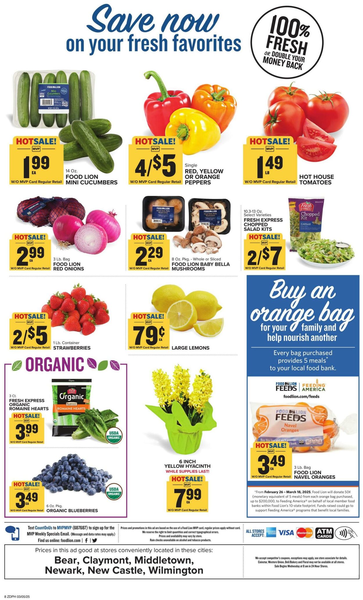 Catalogue Food Lion from 03/05/2025