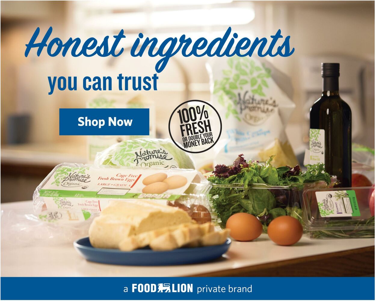 Catalogue Food Lion from 03/12/2025