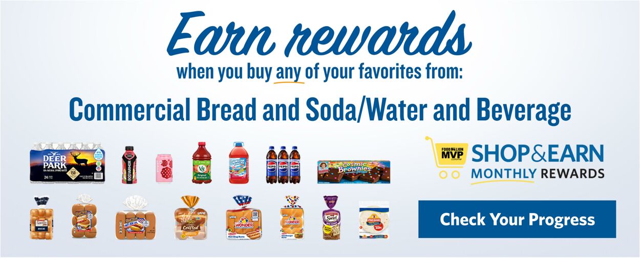 Catalogue Food Lion from 06/04/2025