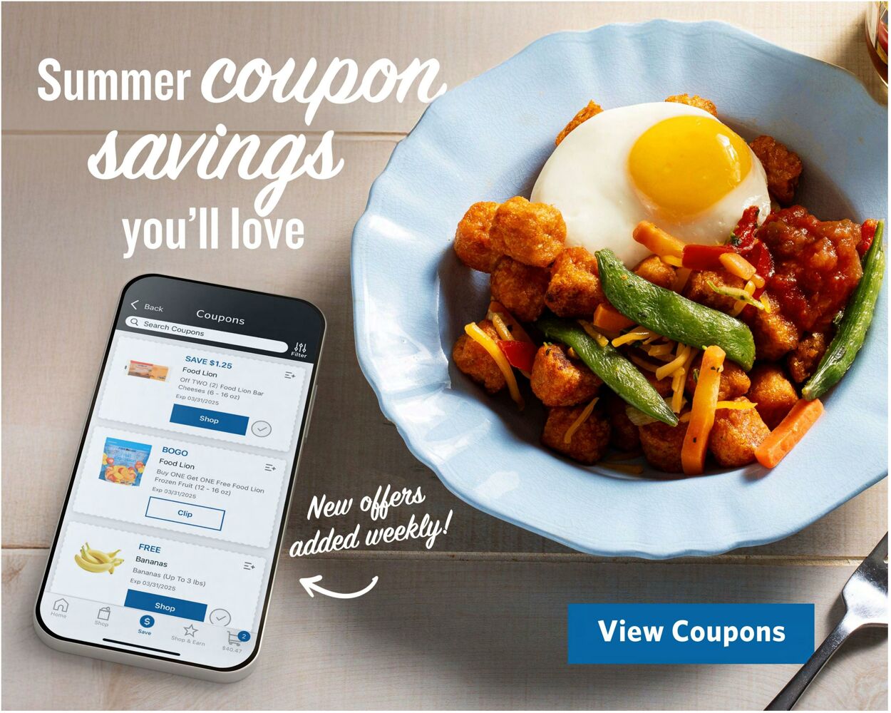 Catalogue Food Lion from 06/04/2025
