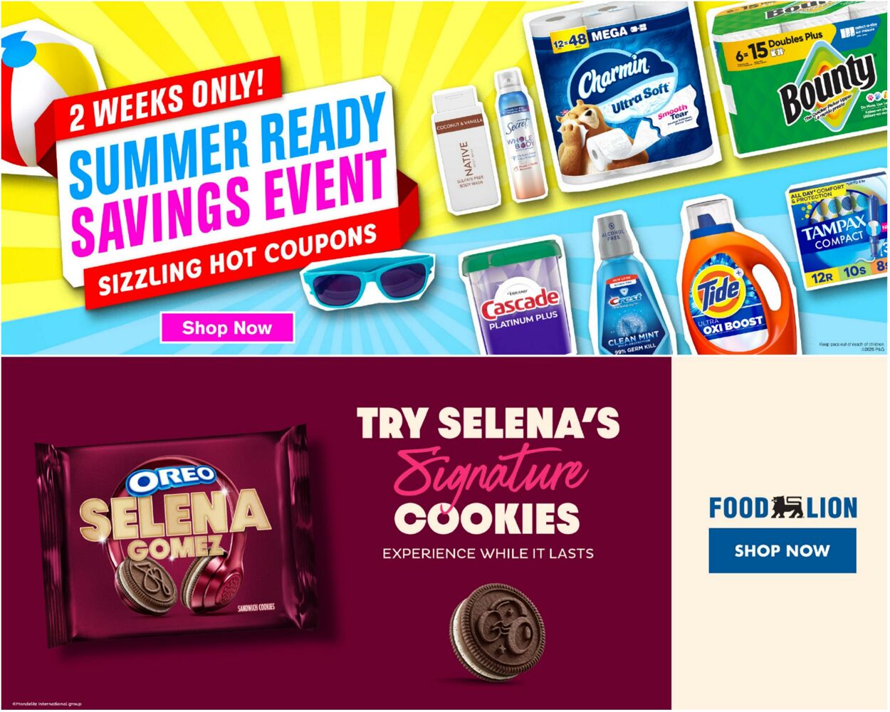Catalogue Food Lion from 06/18/2025