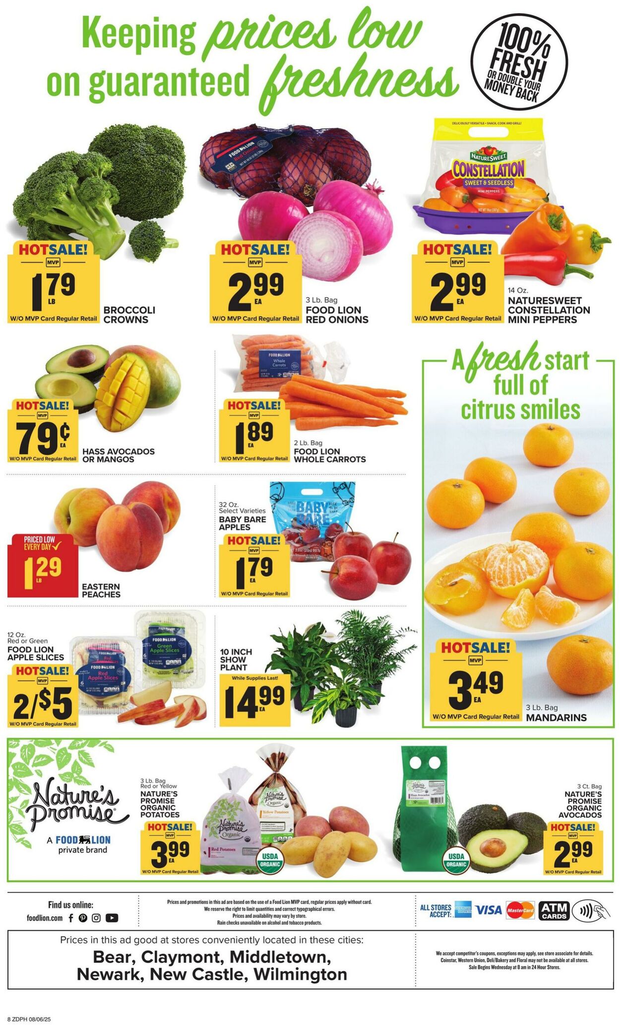 Catalogue Food Lion from 08/06/2025