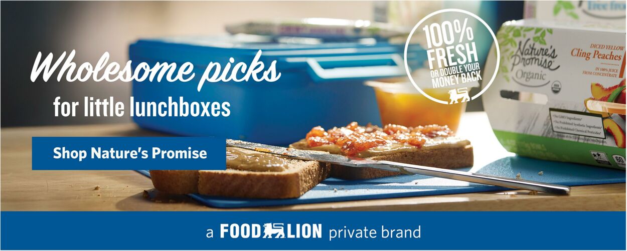 Catalogue Food Lion from 08/13/2025