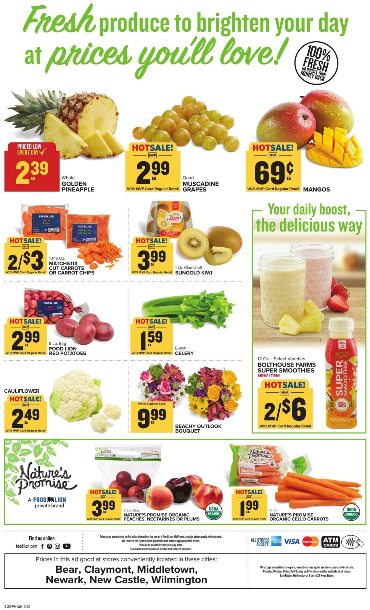 Catalogue Food Lion from 08/13/2025
