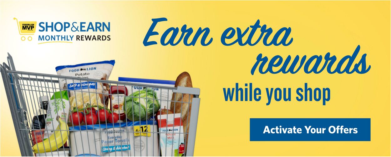 Catalogue Food Lion from 10/01/2025