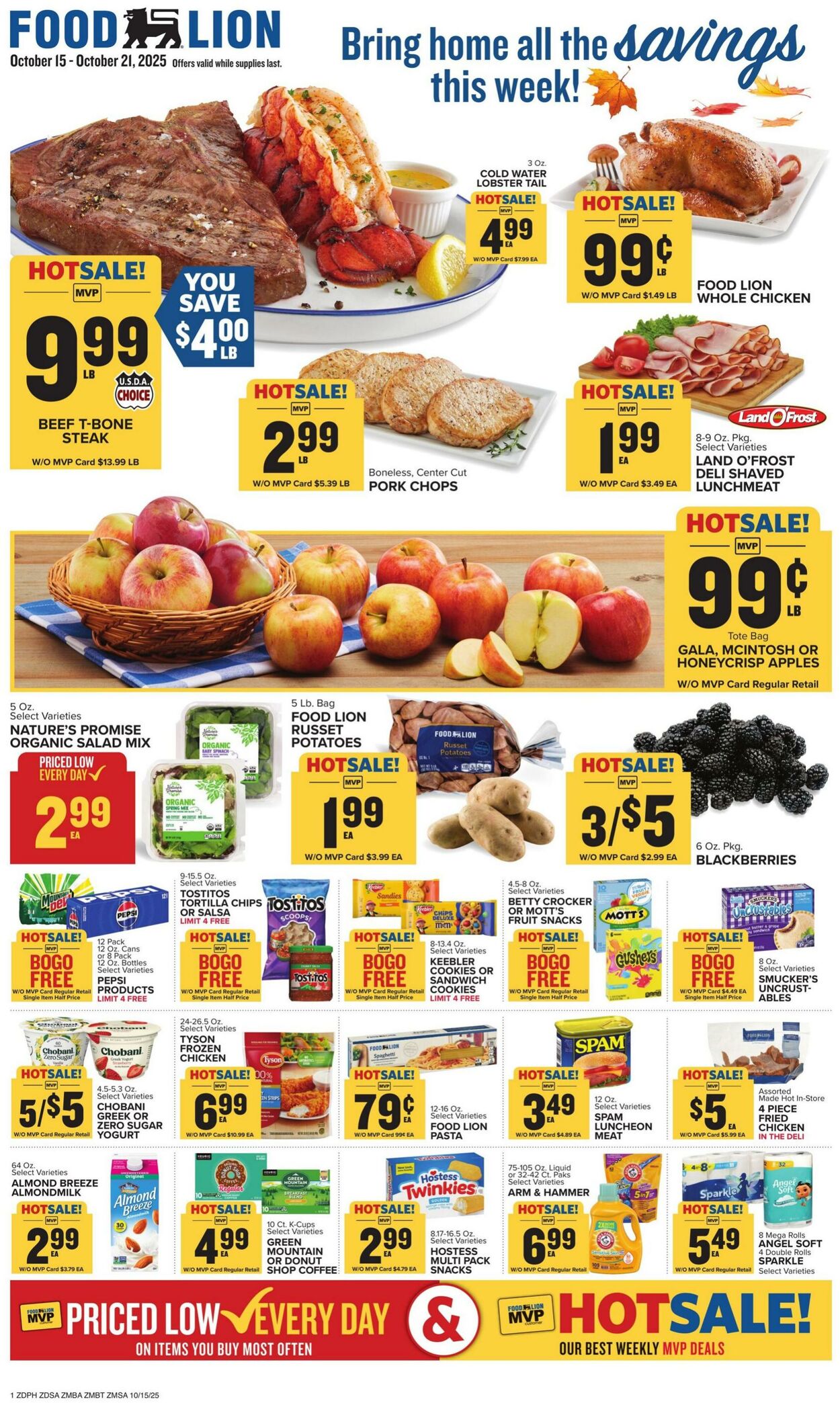 Catalogue Food Lion from 10/15/2025