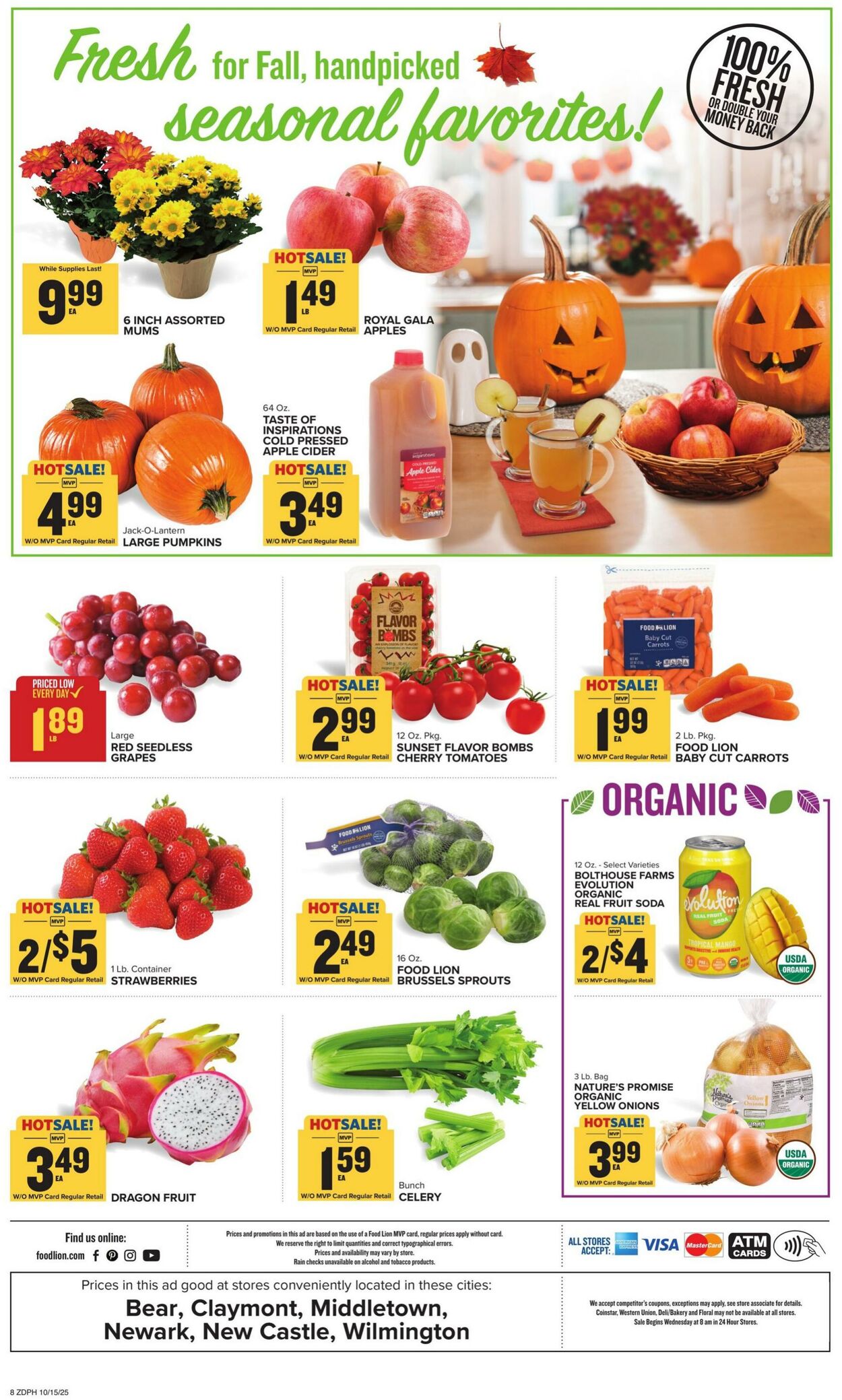 Catalogue Food Lion from 10/15/2025