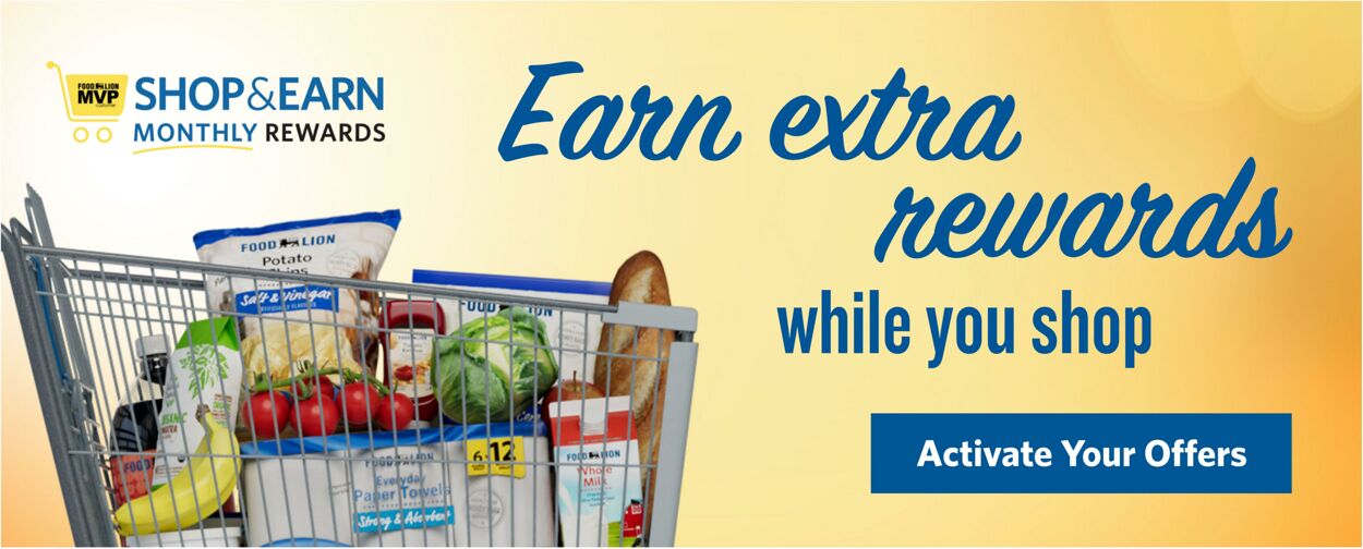 Catalogue Food Lion from 10/29/2025
