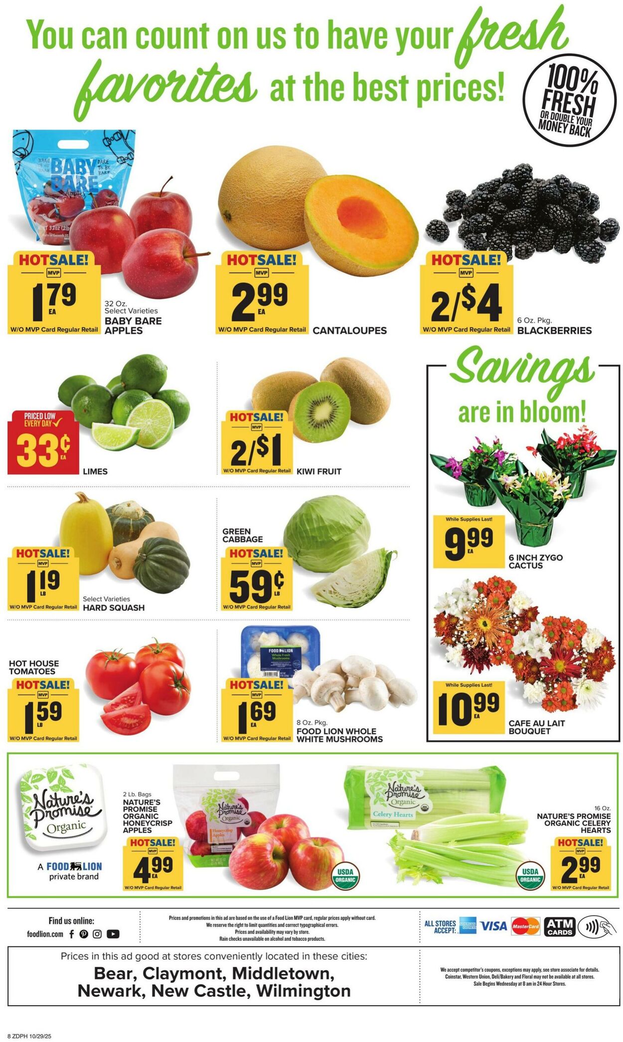 Catalogue Food Lion from 10/29/2025