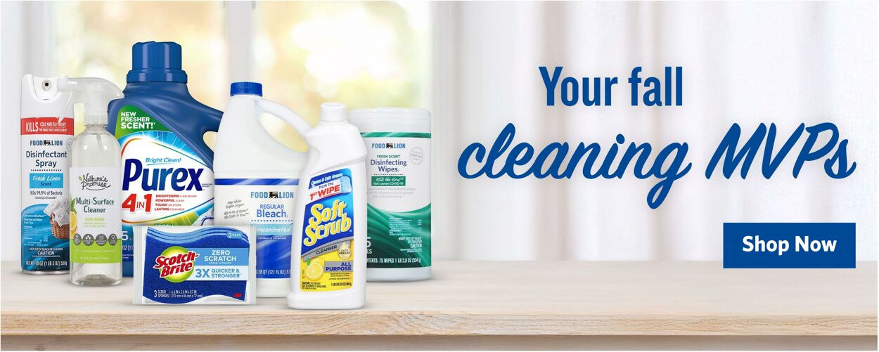 Catalogue Food Lion from 11/19/2025