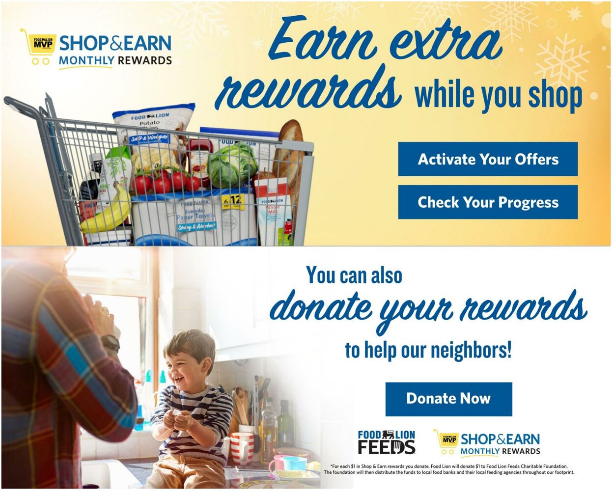 Catalogue Food Lion from 12/17/2025