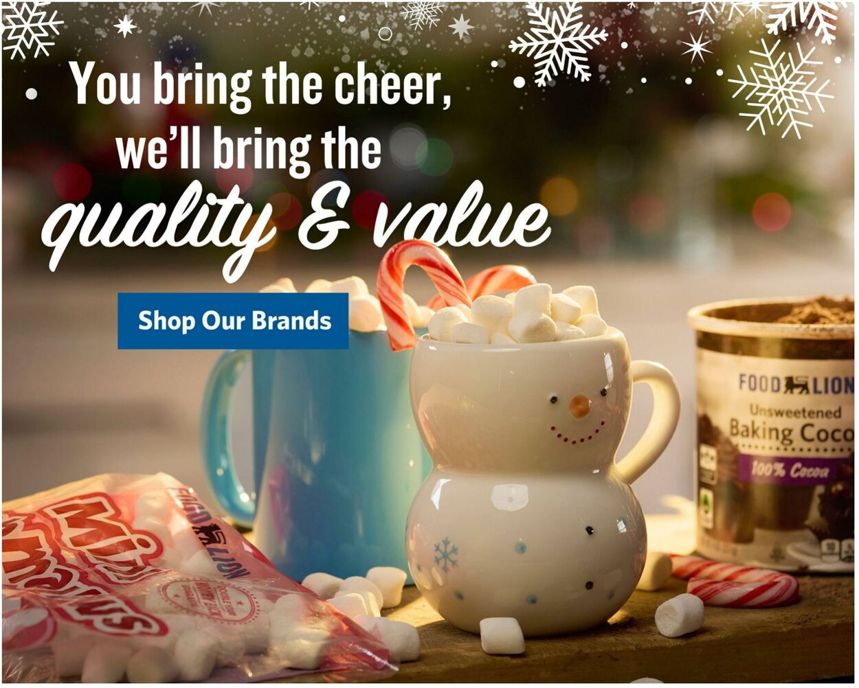 Catalogue Food Lion from 12/17/2025