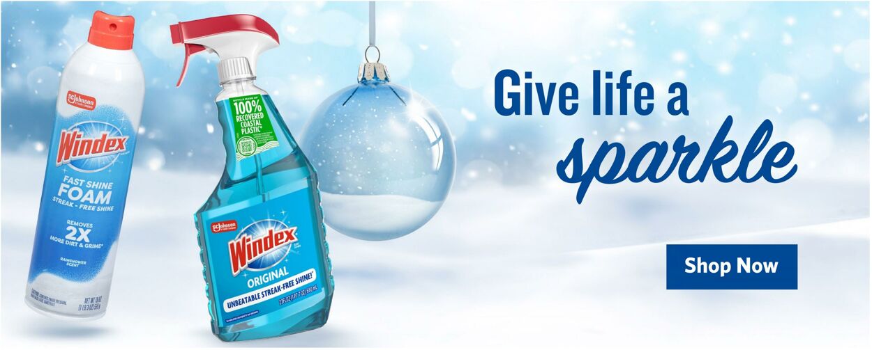 Catalogue Food Lion from 12/17/2025