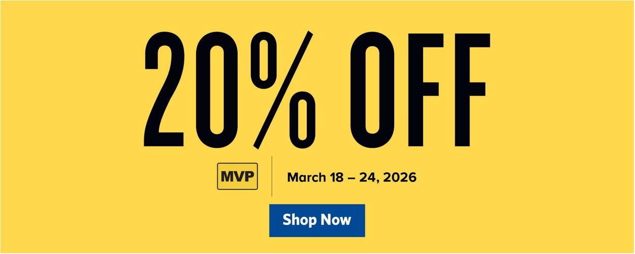 Catalogue Food Lion from 03/11/2026