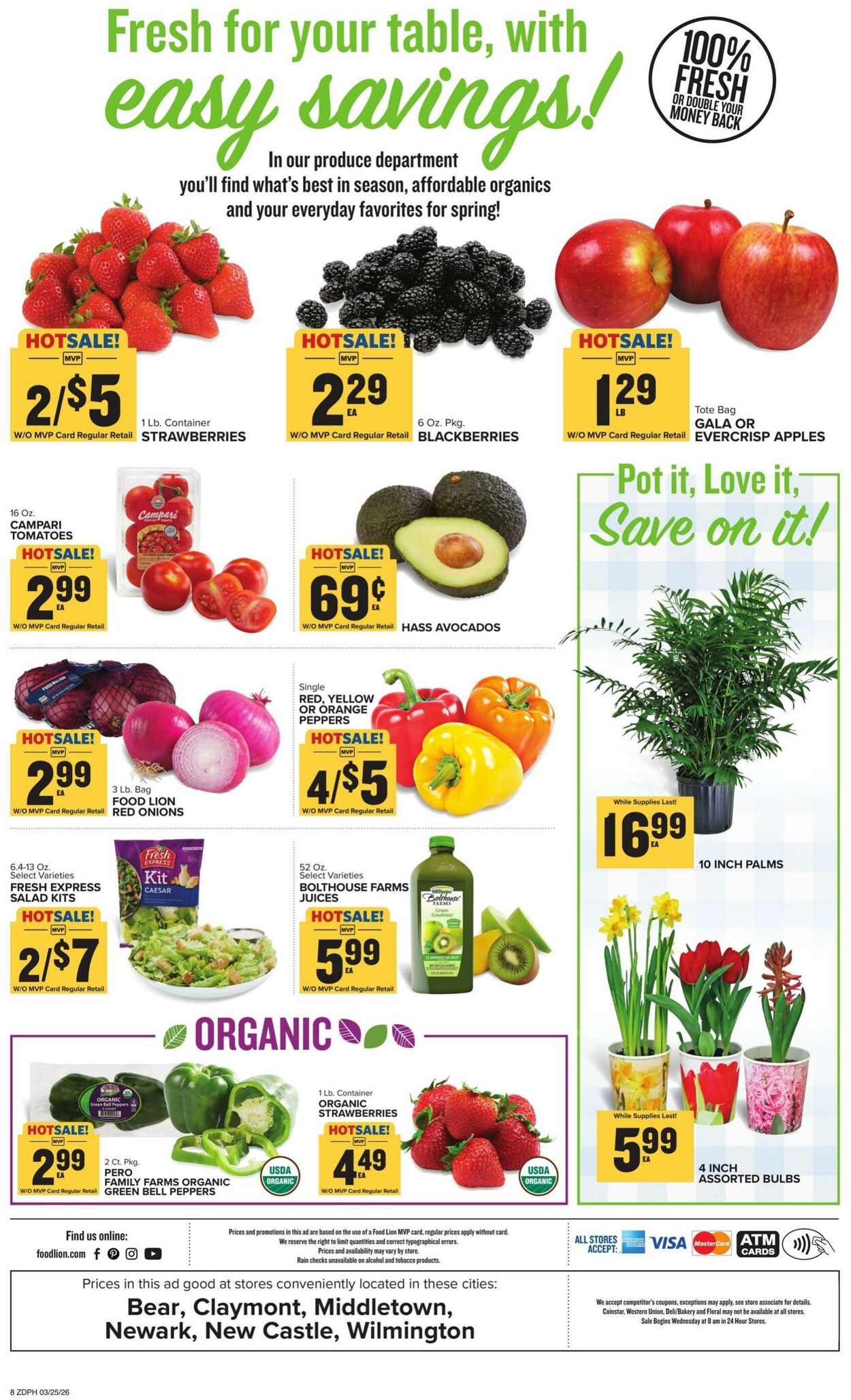 Catalogue Food Lion from 03/25/2026