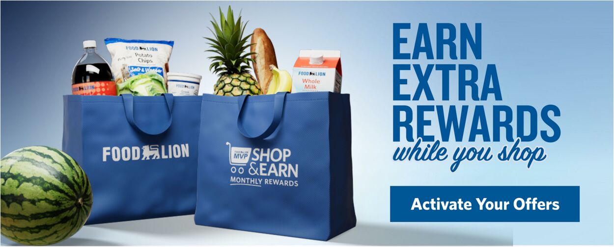 Catalogue Food Lion from 04/01/2026