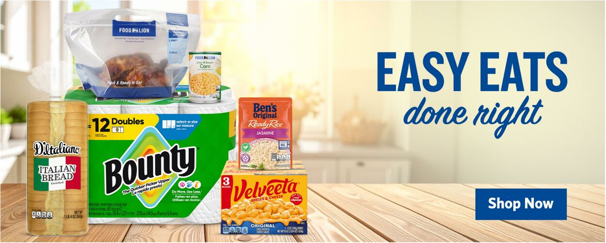 Catalogue Food Lion from 04/15/2026