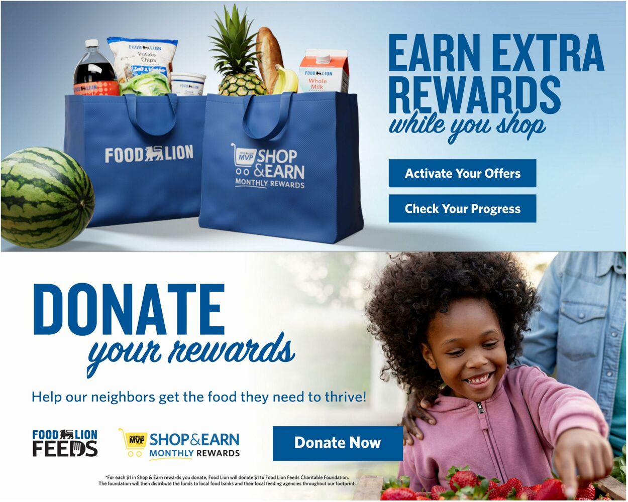 Catalogue Food Lion from 05/27/2026