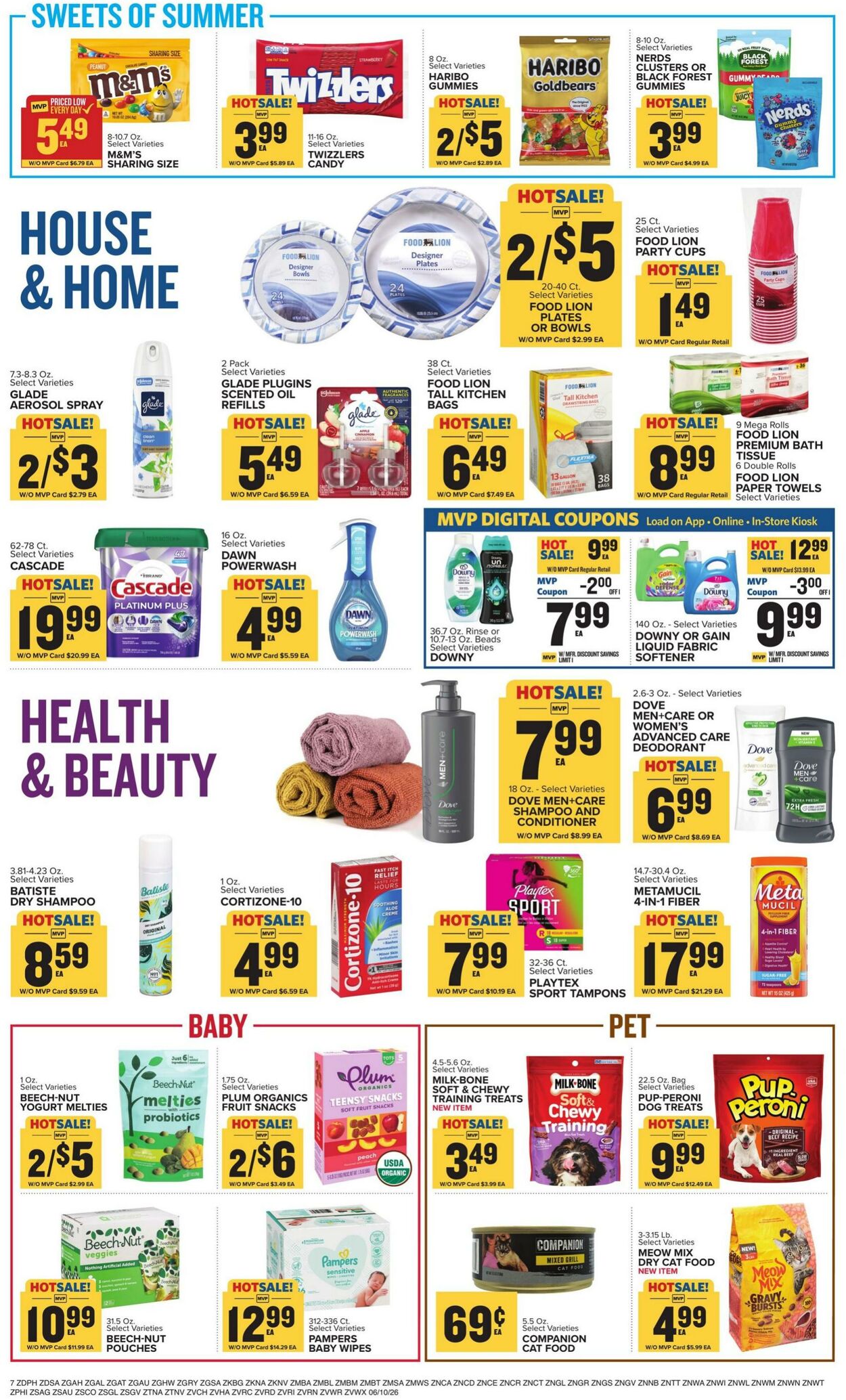 Catalogue Food Lion from 06/10/2026