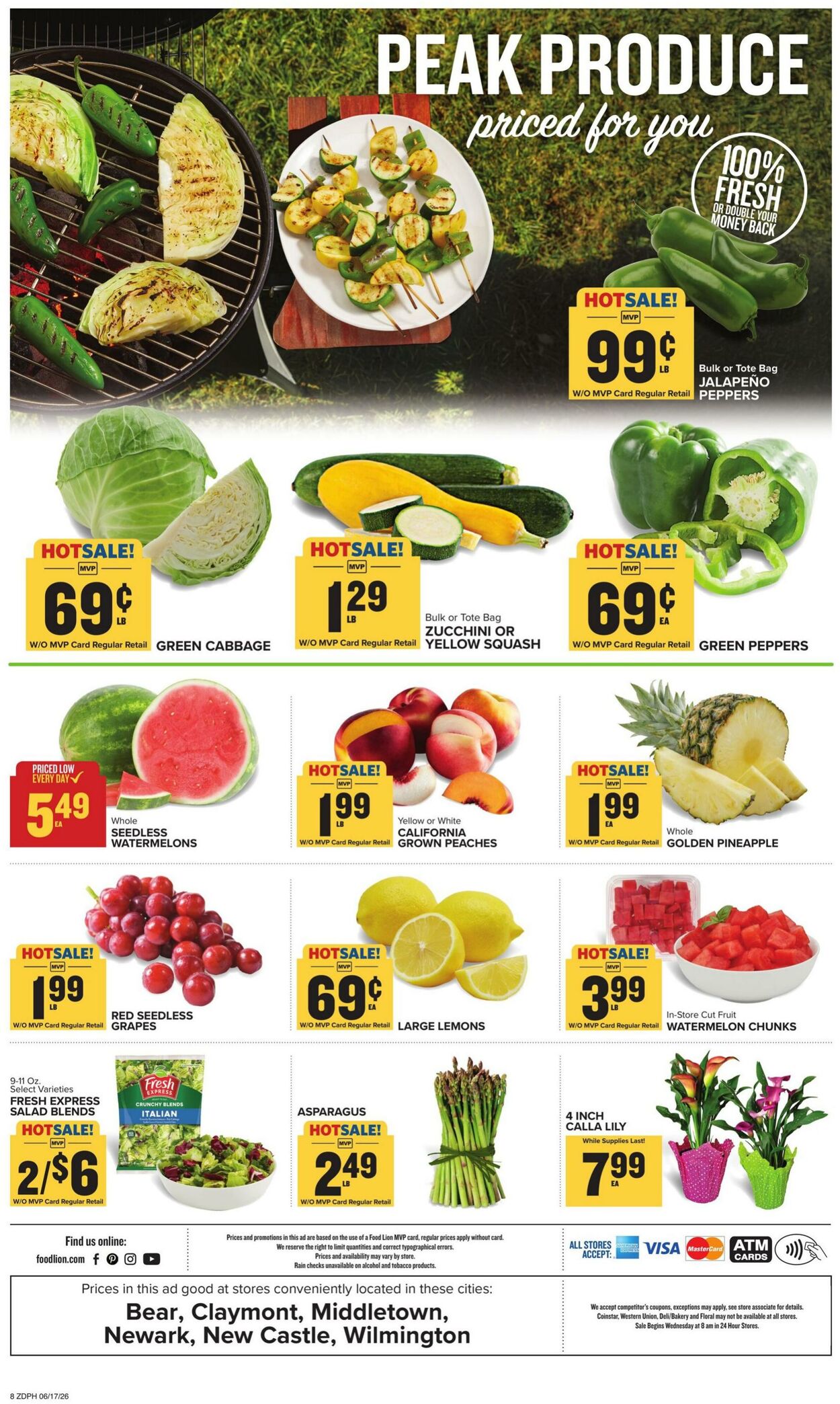 Catalogue Food Lion from 06/17/2026