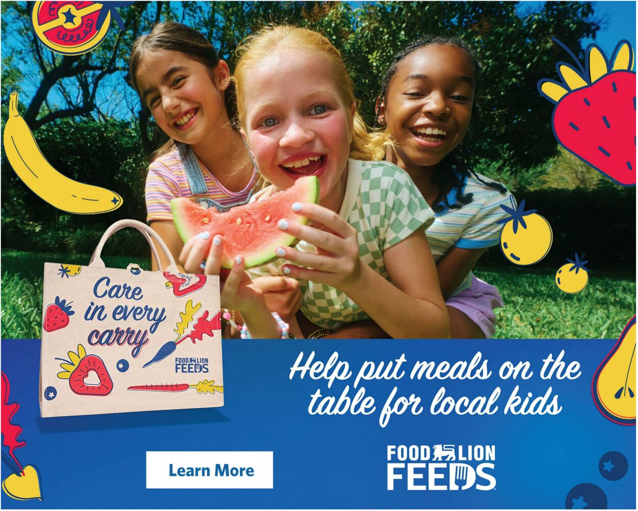 Catalogue Food Lion from 06/17/2026