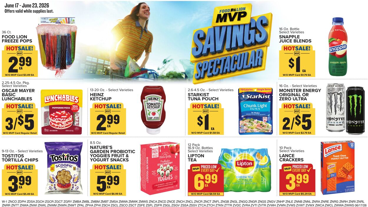 Catalogue Food Lion from 06/17/2026