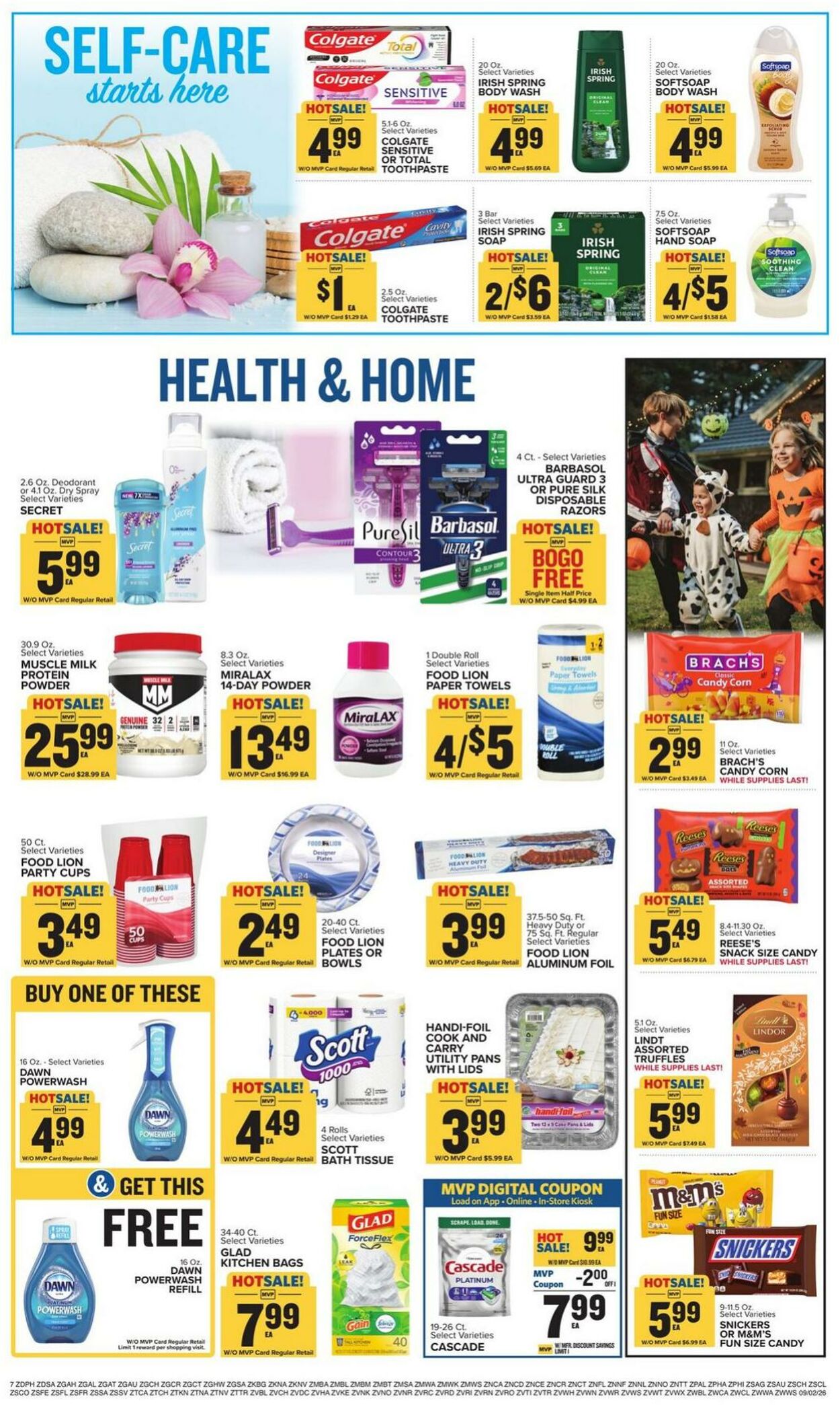 Catalogue Food Lion from 09/02/2026