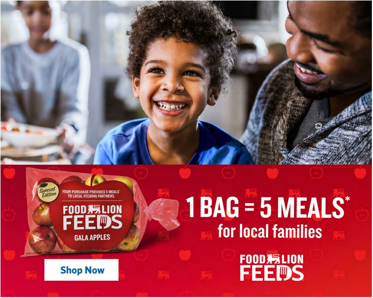 Catalogue Food Lion from 09/16/2026