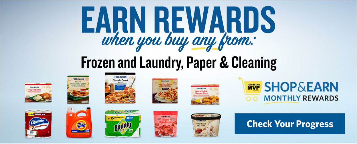 Catalogue Food Lion from 10/14/2026