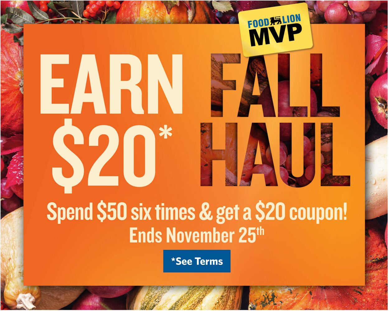 Catalogue Food Lion from 10/14/2026