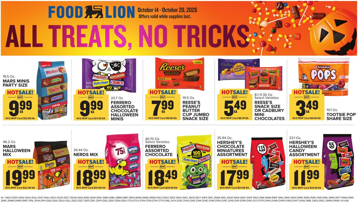 Catalogue Food Lion from 10/14/2026