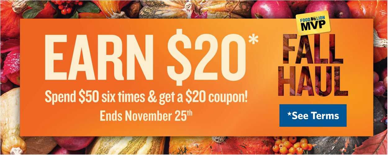 Catalogue Food Lion from 10/28/2026