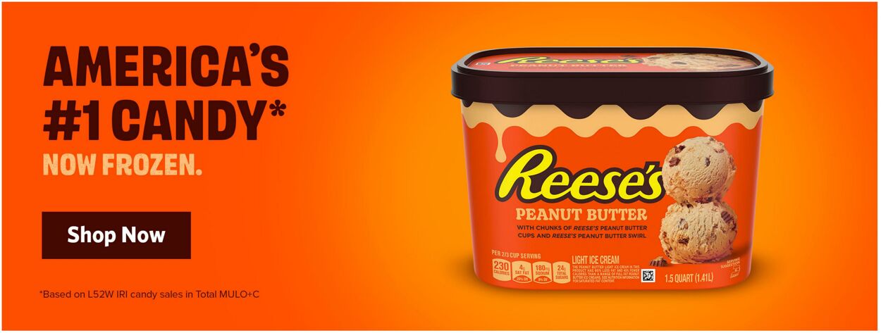 Catalogue Food Lion from 10/28/2026