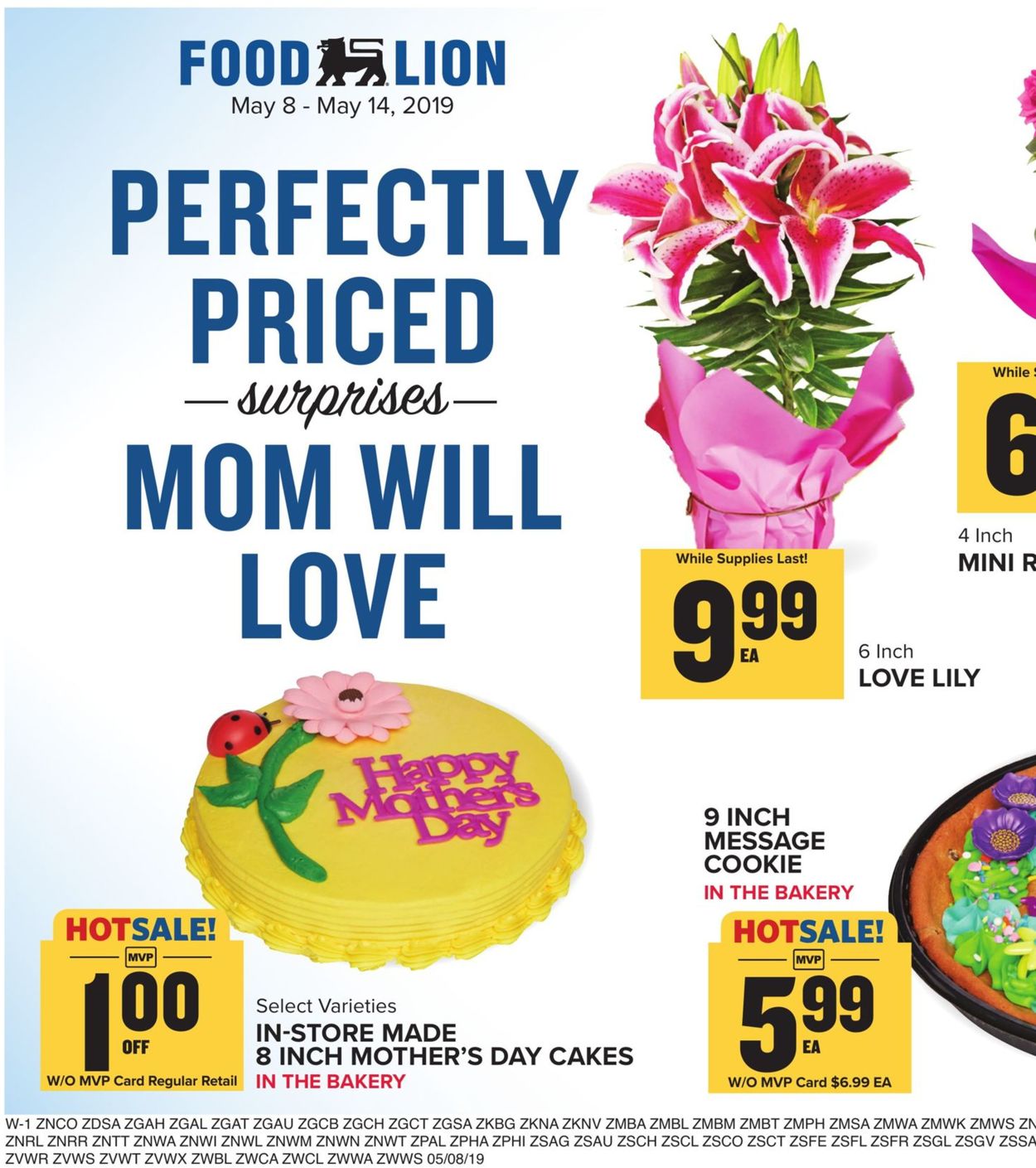 Catalogue Food Lion from 05/08/2019