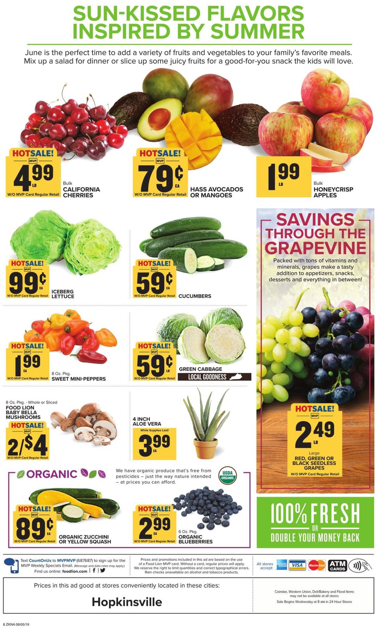 Catalogue Food Lion from 06/05/2019