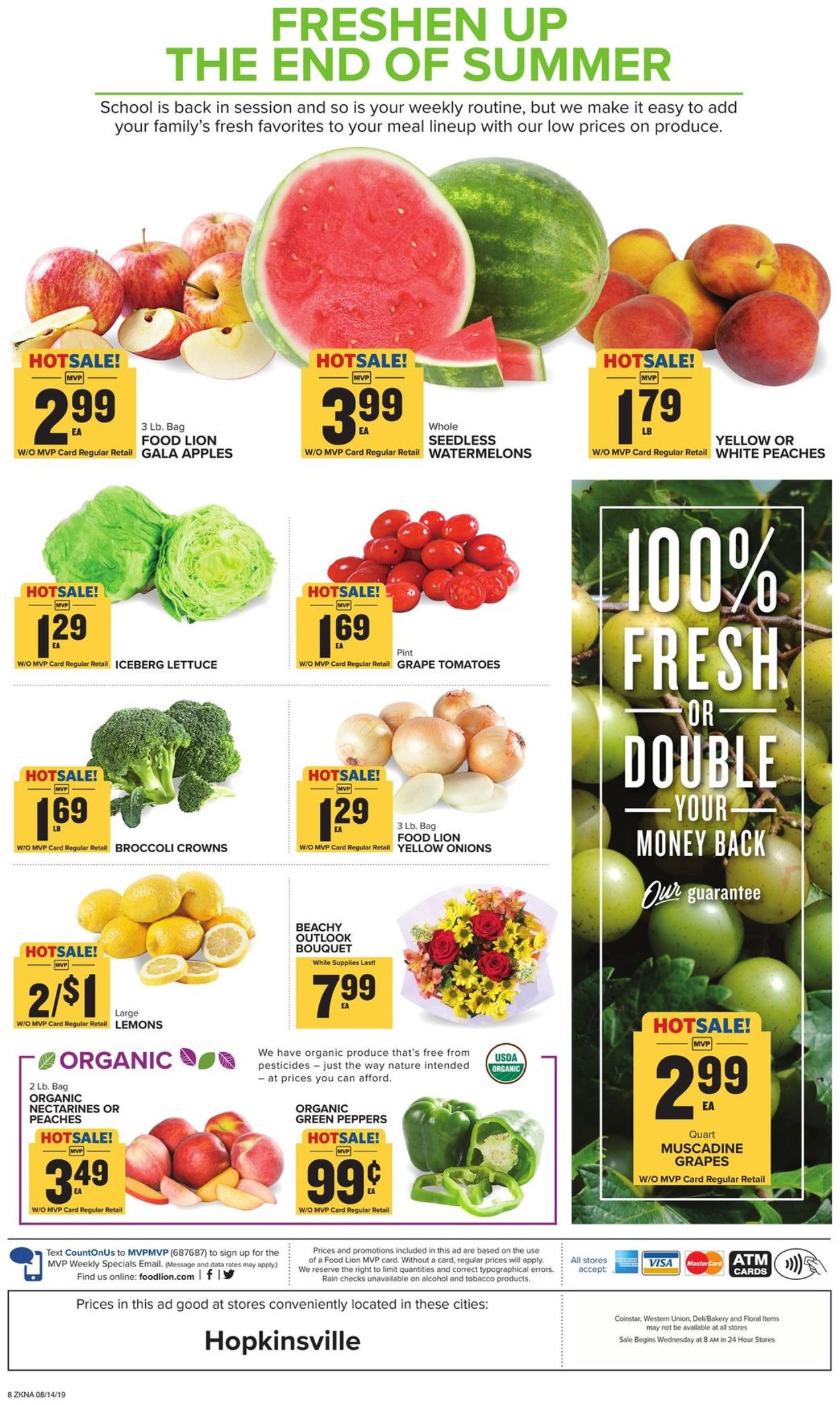 Catalogue Food Lion from 08/14/2019