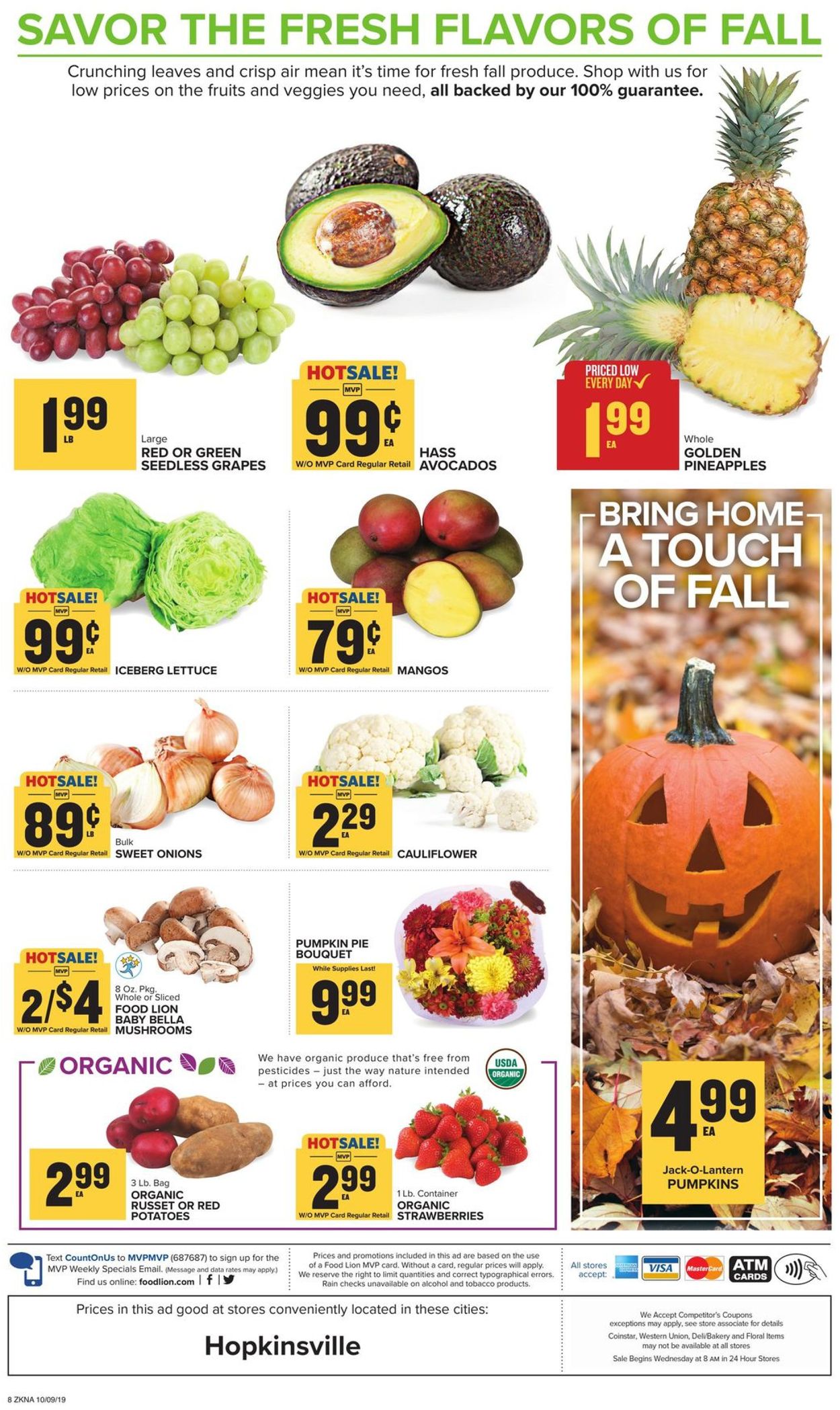 Catalogue Food Lion from 10/09/2019